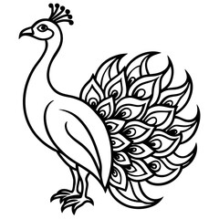 Obraz premium Elegant peacock with ornate tail feathers silhouette