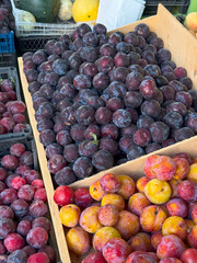 Rustic Wooden Cart Loaded with Watermelons and Cantaloupes