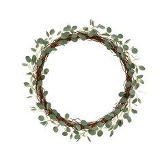 Dew-Kissed Eucalyptus Sprig Fresh Green Leaves and Water Droplets