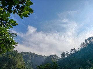 Serene morning view of a lush green forest valley under a beautiful blue sky with wispy clouds