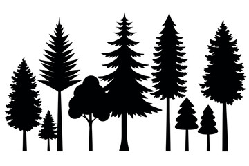 Fototapeta premium Evergreen Pine Tree Vector Silhouettes – Black Woodland Trees Isolated on White