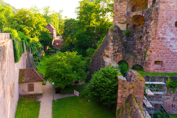 Historic Heidelberg Castle Ruins Surrounded by Lush Greenery in Germany