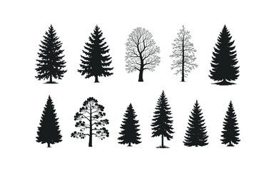 Obraz premium Silhouette Tree Collection: Evergreen and Deciduous Trees for Design Elements