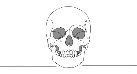 Minimalist Skull Line Art Illustration