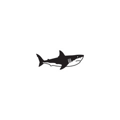  Shark Outline Icon