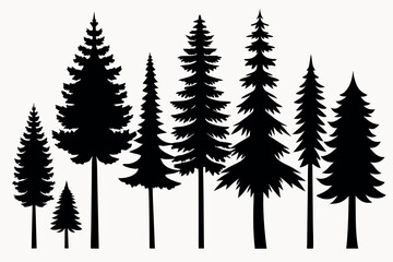 Fototapeta premium Silhouettes of Evergreen Forest Trees – Pine, Fir, and Spruce Vector Set