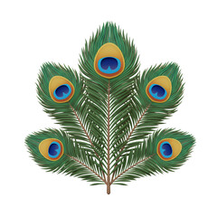 Obraz premium Five Iridescent Peacock Feathers on Transparent Background