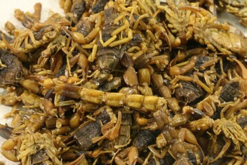High-Resolution Close-Up of Dried Scorpions for Medicinal Use