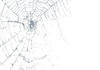 Fototapeta premium A delicate spiderweb glows against a stark black backdrop, creating an eerie yet fascinating texture and pattern perfect for Halloween themes, transparent background