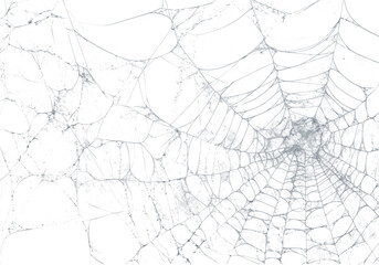 Delicate spiderweb threads stretch across a dark expanse, creating a captivating and eerie pattern ideal for Halloween, abstract design, or textural overlays, transparent background