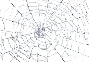 A detailed spiderweb texture against a stark black backdrop, perfect for Halloween designs and spooky themes, with an intricate arachnid pattern, transparent background