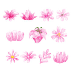 Pink Watercolor Flowers Assets