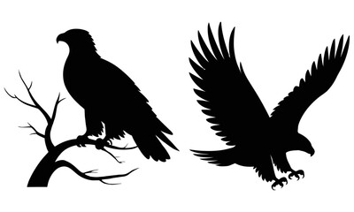 Two eagle silhouettes one perched and one in flight
