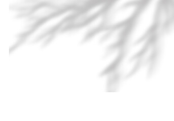 Ethereal fog creates abstract shapes, featuring soft textures and an elegant composition against a transparent background.