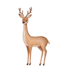 Watercolor deer with antlers isolated on white background