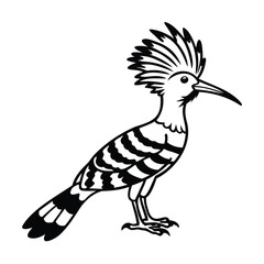 A hoopoe bird with a crest standing on a animal wildlife