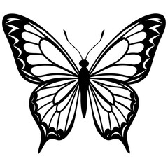 Obraz premium Elegant butterfly with intricate wing patterns in black silhouette