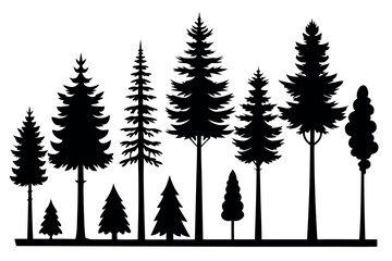 Obraz premium Black Silhouettes of Evergreen Trees – Woodland Conifer Forest Vector Illustration