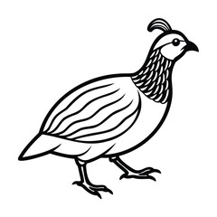 A partridge bird with detailed feathers a distinctive crest avian animal