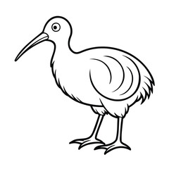 Obraz premium A kiwi bird standing with long beak detailed feathers on animal wildlife