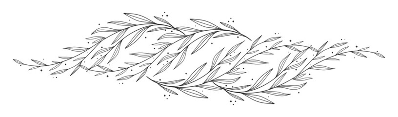 floral leaves line art isolated on white background. Divider doodle leaf and flowers, nature border decorative element vector illustration