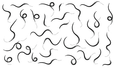 Brush line stroke squiggly paint set on chalkboard. Hand drawn doodle swirl wave brush curly charcoal stroke. Line squiggly paint curly hand drawn ink calligraphy elements. Vector illustration. 