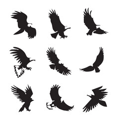 Obraz premium Soaring Eagle Silhouette: A striking collection of eagles in mid-flight, each rendered in elegant silhouette against a clean background.