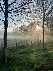 Misty morning landscape with sunrise