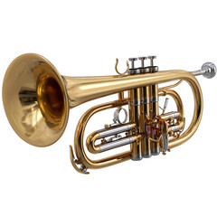 Fototapeta premium Gold Lacquered Bb Cornet Musical Instrument Brass Wind Instrument Three Valves Shiny Metal Detailed Closeup Studio Shot Isolated White Background