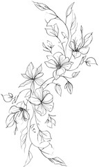 Delicate Spring Flower Branch Line Art Vector
