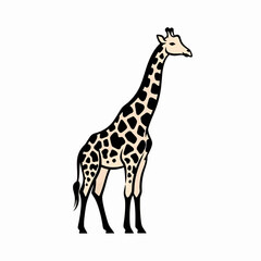 Fototapeta premium Tall Giraffe Wildlife Vector Illustration 