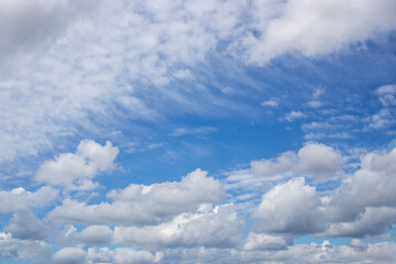 A bright sky filled with fluffy white cumulus clouds contrasting against a bright blue background.