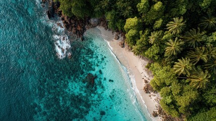 Tropical beach from above