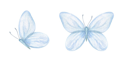 Delicate two abstract soft blue butterflies in flight, top and side views watercolor illustration set isolated background. Hand painted insect sketch for wedding stationery, nursery decor