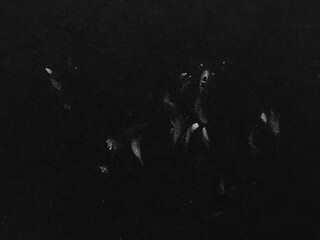 Black grunge dirty rough texture background. Dusty paper texture full of scratches. Noise grain...