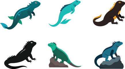 Marine Iguana