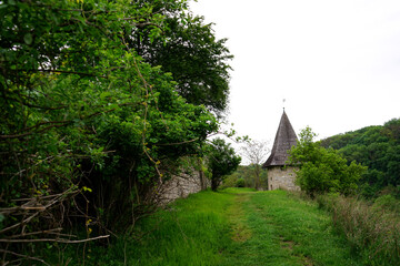 tower in the woods