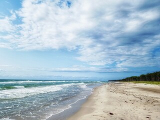 Obraz premium Der Weststrand Darß bei blauem Himmel im Sommer