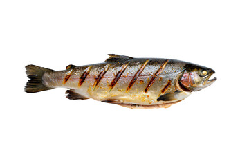 Whole Grilled Trout Fish with Grill Marks on cooking food