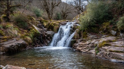 Fototapeta premium Waterfall cascading into a tranquil pool