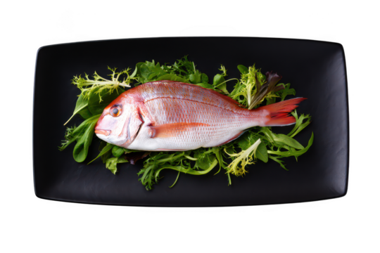 Whole raw red snapper fish on plate with green salad image