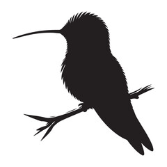 Humming bird silhouette vector art illustration, Wildlife