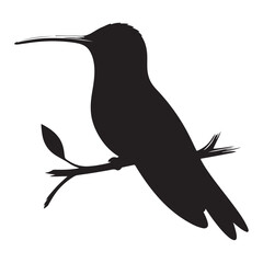 Obraz premium Humming bird silhouette vector art illustration, Wildlife