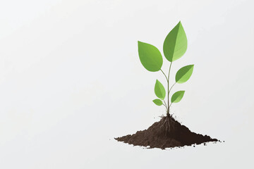 young plant in soil on transparent background,png design elements