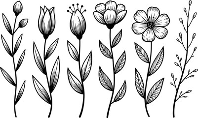 Delicate Line Art Wildflower Vector Set – Hand Drawn Black and White Flowers