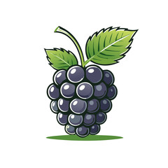 Isolated Fresh Blackberry with Green Leaves on White Background Graphic Illustration
