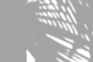 Transparent shadow effect. Shadow and light from window. isolated on transparent background. Blurred shadow overlay for modern interior design decoration, mockup, Summer spring design elements, PNG