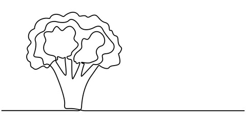 broccoli vegetables continuous one line drawing, Continuous one line drawing of broccoli. One line drawing illustration of whole healthy organic green broccoli. fresh vegetable concept continuous. 