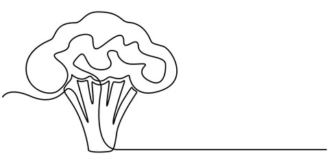 broccoli vegetables continuous one line drawing, Continuous one line drawing of broccoli. One line drawing illustration of whole healthy organic green broccoli. fresh vegetable concept continuous. 