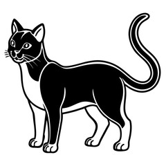 Stylized black and white cat standing and looking to the side